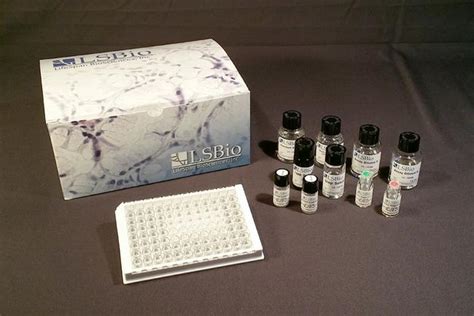 Corticosterone ELISA kit 